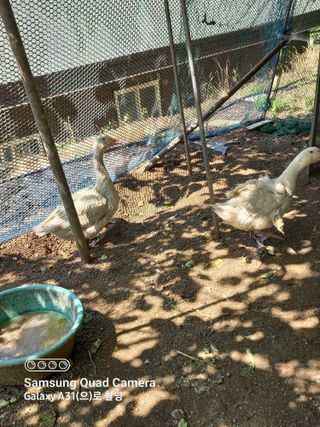 강가이버님의 자유주제 · 자유게시판 작성글 사진