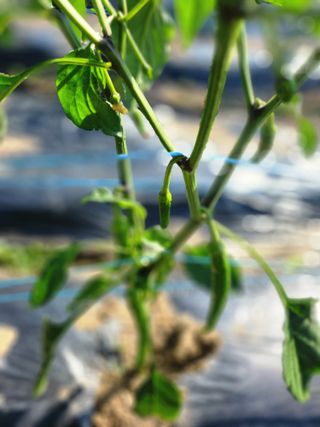 고영희님의 ☔️장마 대비 하셨나요? · 참여글 작성글 사진