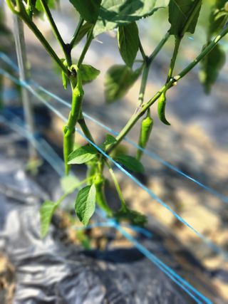 고영희님의 ☔️장마 대비 하셨나요? · 참여글 작성글 사진