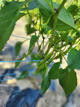 고영희님의 ☔️장마 대비 하셨나요? · 참여글 작성글 사진