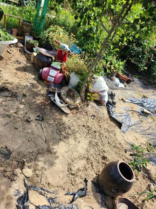 고영희님의 ☔️장마 대비 하셨나요? · 참여글 작성글 사진