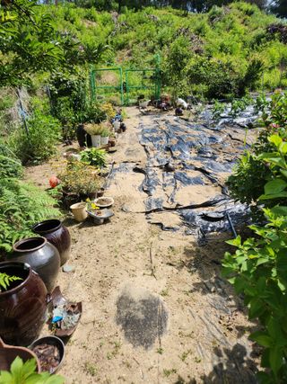 고영희님의 ☔️장마 대비 하셨나요? · 참여글 작성글 사진