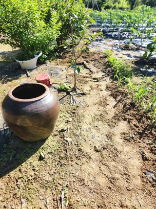 고영희님의 ☔️장마 대비 하셨나요? · 참여글 작성글 사진