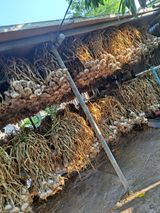 팜모닝 자유주제·자유게시판 게시글 이미지