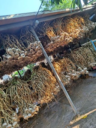 딱딱이~~님의 자유주제 · 자유게시판 작성글 사진