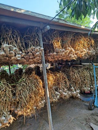 딱딱이~~님의 자유주제 · 자유게시판 작성글 사진