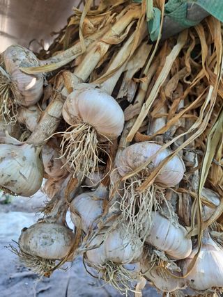 딱딱이~~님의 자유주제 · 자유게시판 작성글 사진