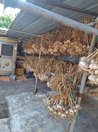 딱딱이~~님의 자유주제 · 자유게시판 작성글 사진