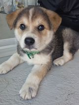 팜모닝 자유주제·자유게시판 게시글 이미지