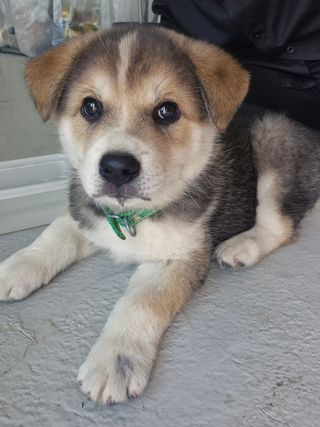 안성화님의 자유주제 · 자유게시판 작성글 사진