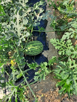 이연주님의 자유주제 · 자유게시판 작성글 사진