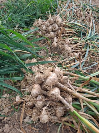 이연주님의 자유주제 · 자유게시판 작성글 사진