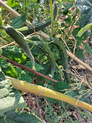 이연주님의 자유주제 · 자유게시판 작성글 사진