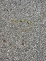 팜모닝 자유주제·자유게시판 게시글 이미지