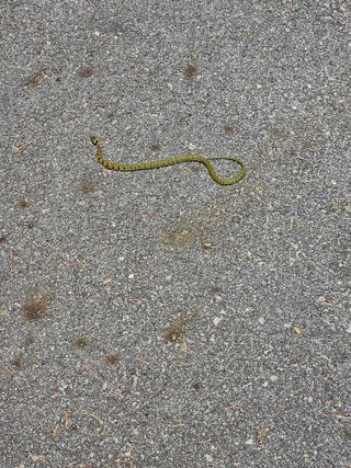 초짜농부님의 자유주제 · 자유게시판 작성글 사진