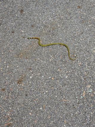 초짜농부님의 자유주제 · 자유게시판 작성글 사진