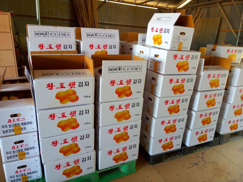 장터 상품 [수미감자 10kg(판매종료)] 썸네일