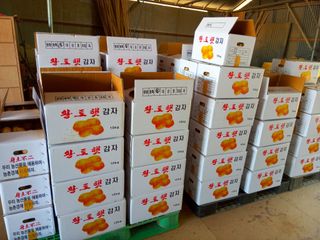 조성국님의 작성글 사진