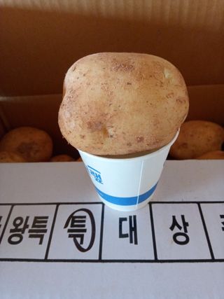 조성국님의 작성글 사진