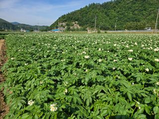 장관덕님의 자유주제 · 자유게시판 작성글 사진