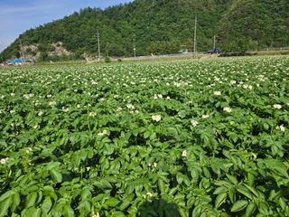 장관덕님의 자유주제 · 자유게시판 작성글 사진