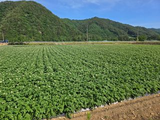 장관덕님의 자유주제 · 자유게시판 작성글 사진