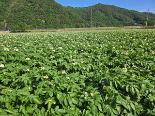 장관덕님의 자유주제 · 자유게시판 작성글 사진