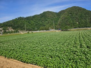 장관덕님의 자유주제 · 자유게시판 작성글 사진