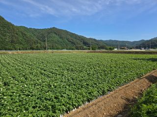 장관덕님의 자유주제 · 자유게시판 작성글 사진