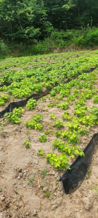 신현덕님의 자유주제 · 자유게시판 작성글 사진