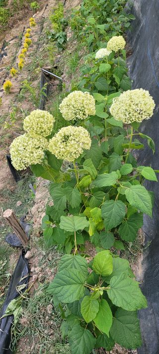 신현덕님의 자유주제 · 자유게시판 작성글 사진