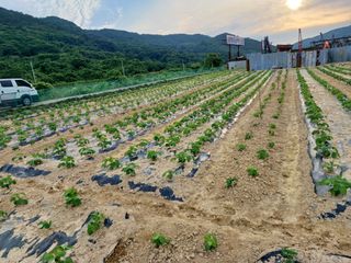 세경농장님의 콩 · 영농일지 작성글 사진