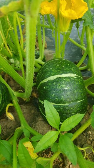 윤용목 원님의 자유주제 · 자유게시판 작성글 사진