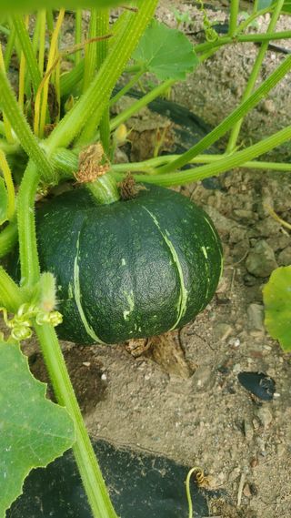 윤용목 원님의 자유주제 · 자유게시판 작성글 사진