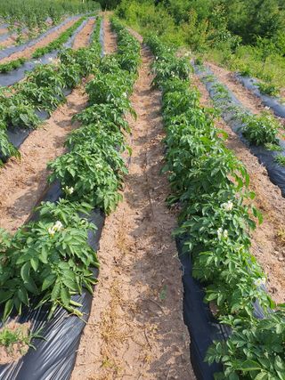 김영복님의 자유주제 · 자유게시판 작성글 사진