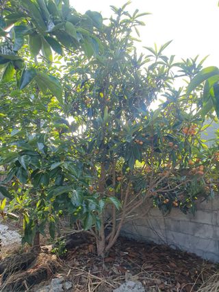 콩19996ㆍ혜자님의 자유주제 · 사진전 작성글 사진