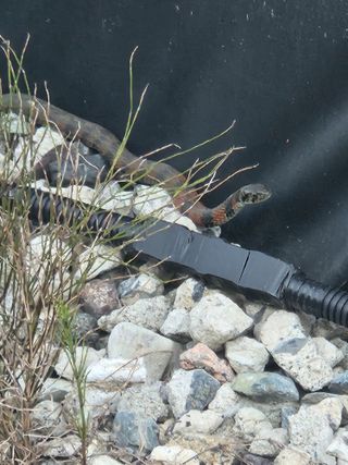 조재근님의 자유주제 · 자유게시판 작성글 사진