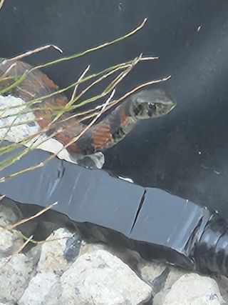 조재근님의 자유주제 · 자유게시판 작성글 사진