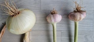 희망농부58님의 자유주제 · 자유게시판 작성글 사진