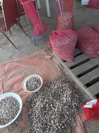 황석면님의 자유주제 · 자유게시판 작성글 사진