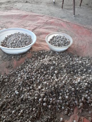 황석면님의 자유주제 · 자유게시판 작성글 사진