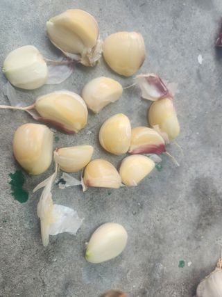 하루하루행복!!!님의 농사, 무엇이든 물어보세요! · 참여글 작성글 사진