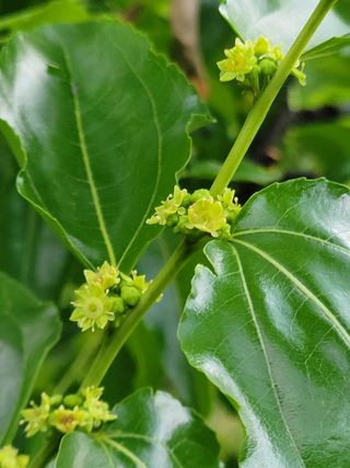 허 동길(길이농장)님의 자유주제 · 자유게시판 작성글 사진