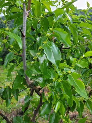 허 동길(길이농장)님의 자유주제 · 자유게시판 작성글 사진