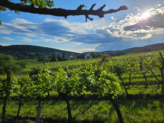 배밀기님의 자유주제 · 자유게시판 작성글 사진