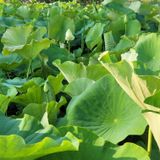 팜모닝 ☔️장마 대비 하셨나요?·참여글 게시글 이미지