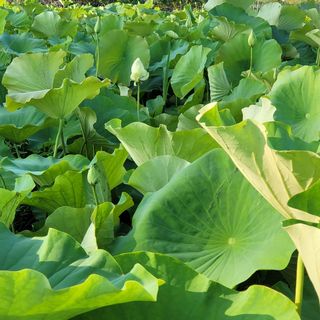 두레연님의 ☔️장마 대비 하셨나요? · 참여글 작성글 사진