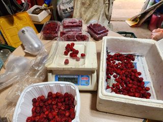 윤창호님의 자유주제 · 자유게시판 작성글 사진