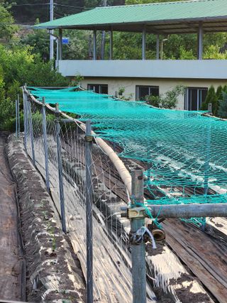 거창아재님의 기타작물 · 영농일지 작성글 사진