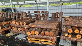 종합선물세트님의 농사, 무엇이든 물어보세요! · 참여글 작성글 사진